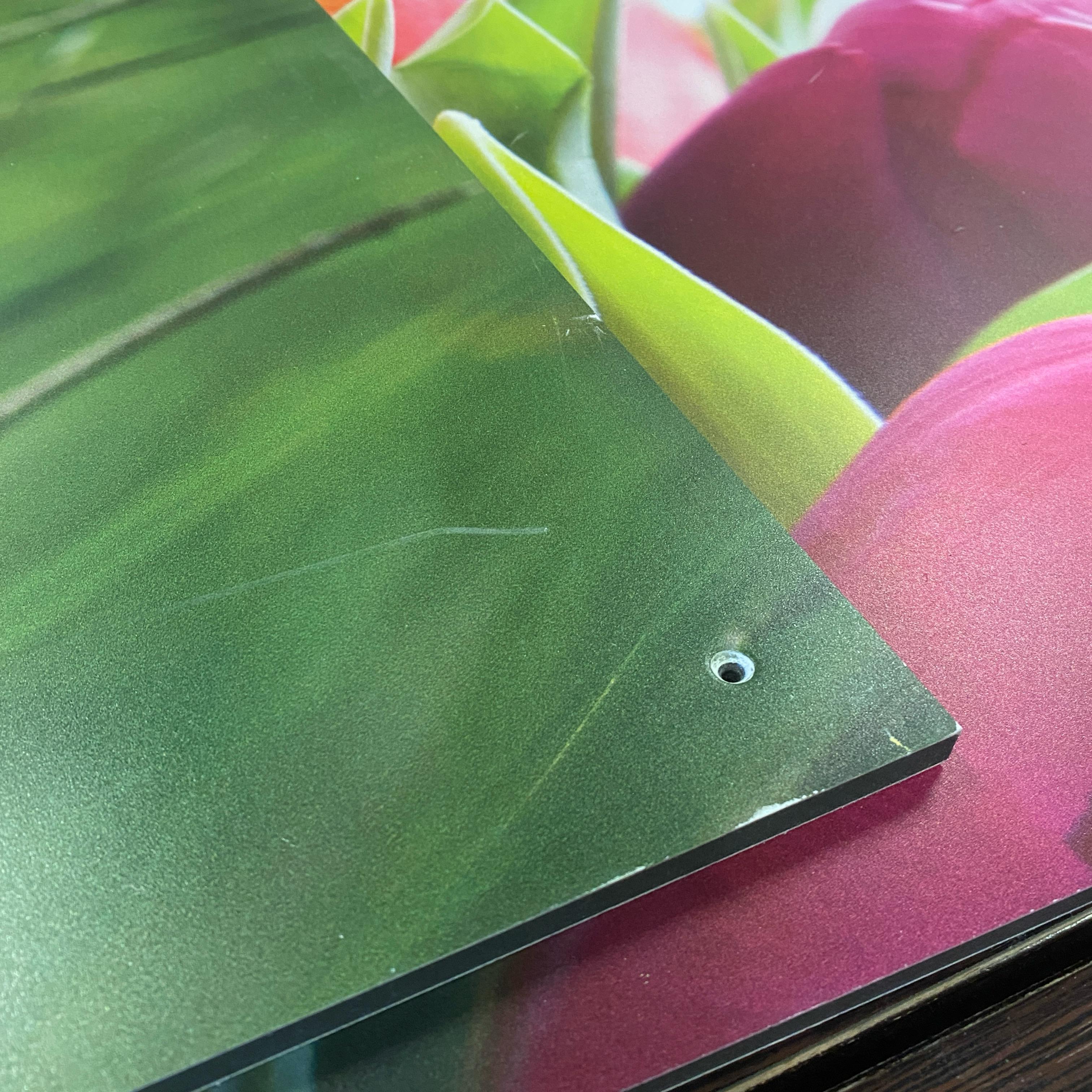 Bild Tulpe 60x60 pink Wandbild Deko Fotodruck Natur - Image 6
