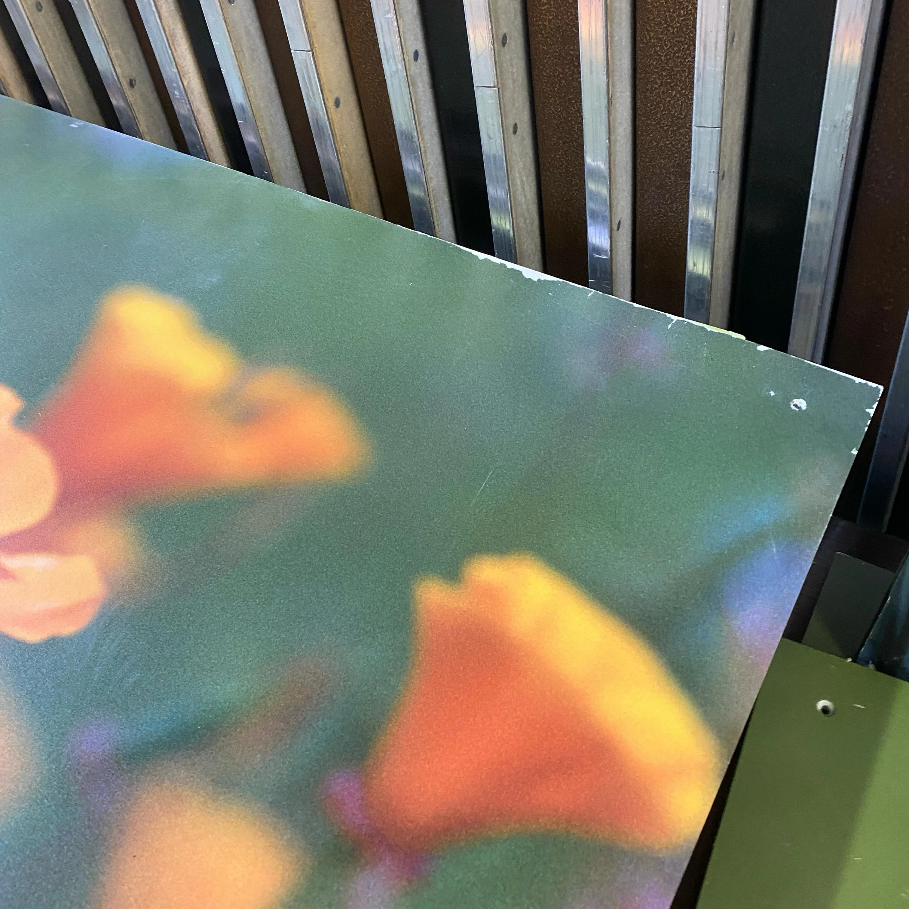 Bild Tulpe fransig 70x70 Wandbild Deko Fotodruck Natur - Image 6