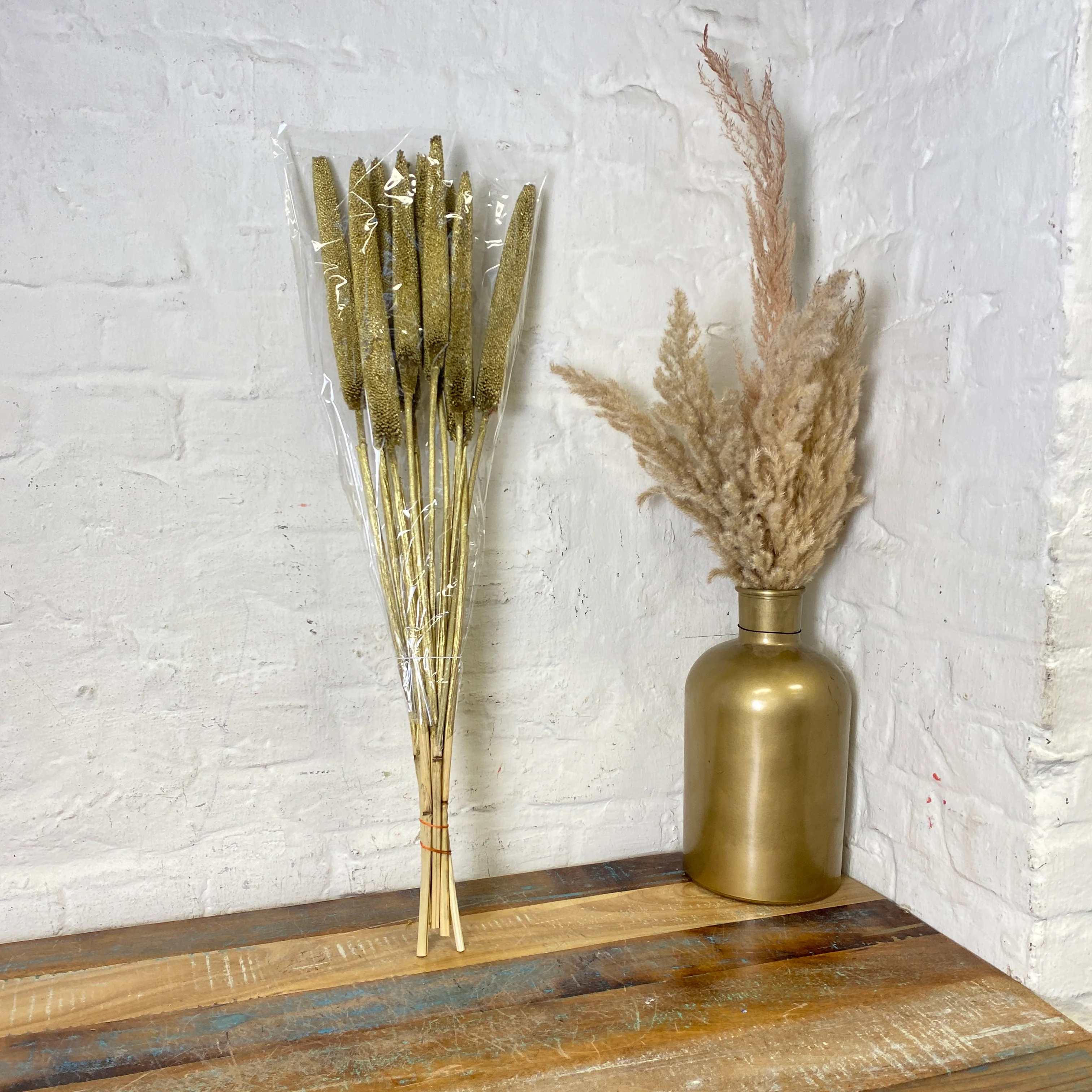 Trockenblumen Bund golden Kolben Natur Deko Babala