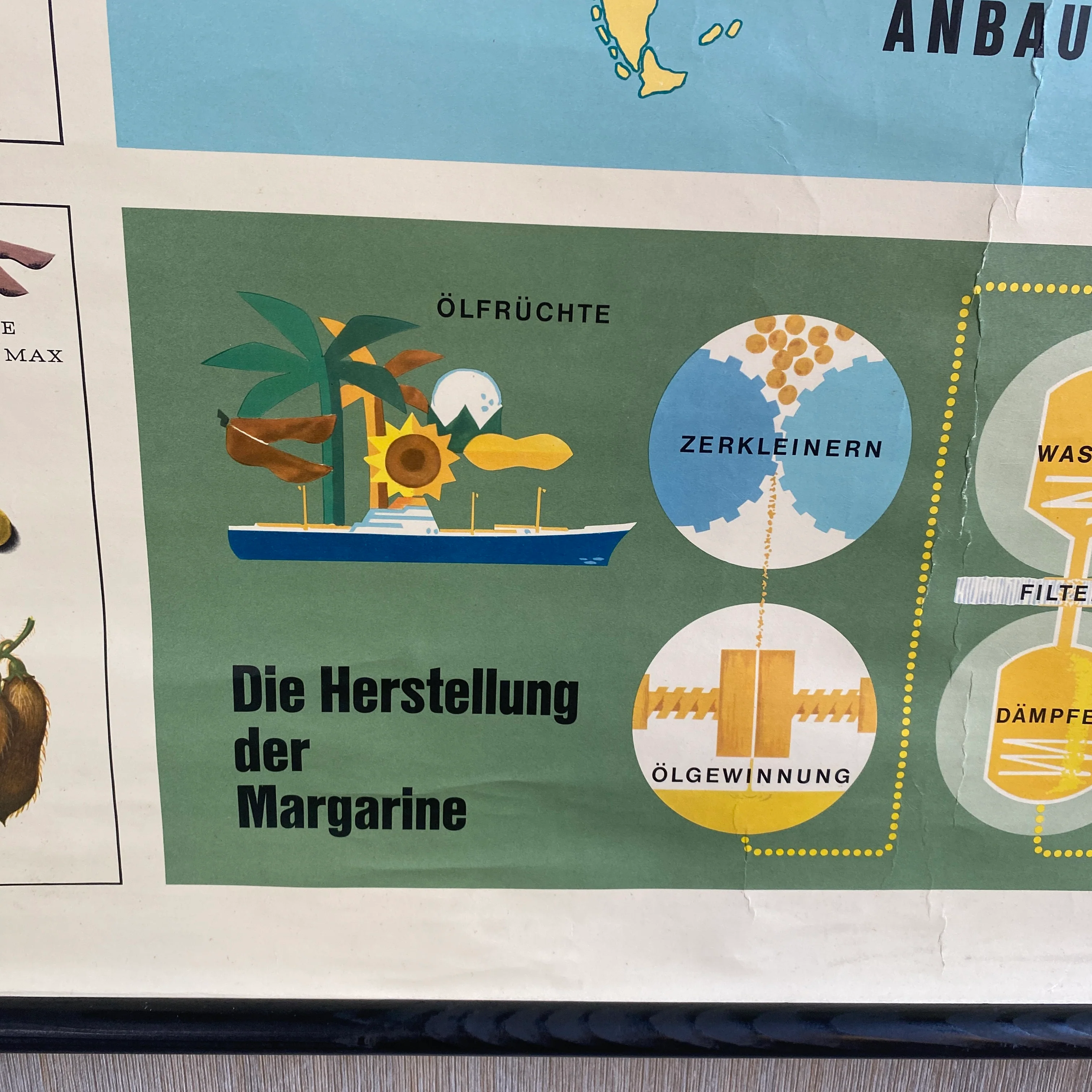 Schulkarte Ölpflanzen Pflanzenöle Margarine Erdkunde Lehrkarte gebraucht - Image 5