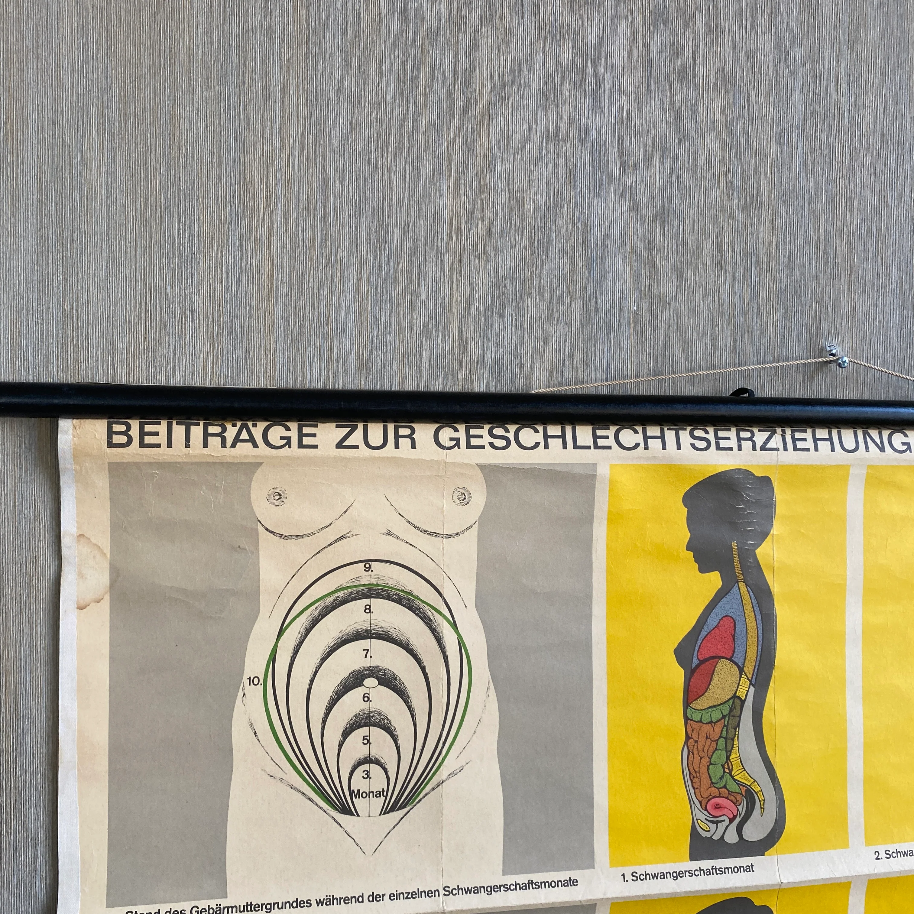 Schulkarte Schwangerschaft Beiträge zur Geschlechtserziehung Biologie Lehrkarte gebraucht - Image 3