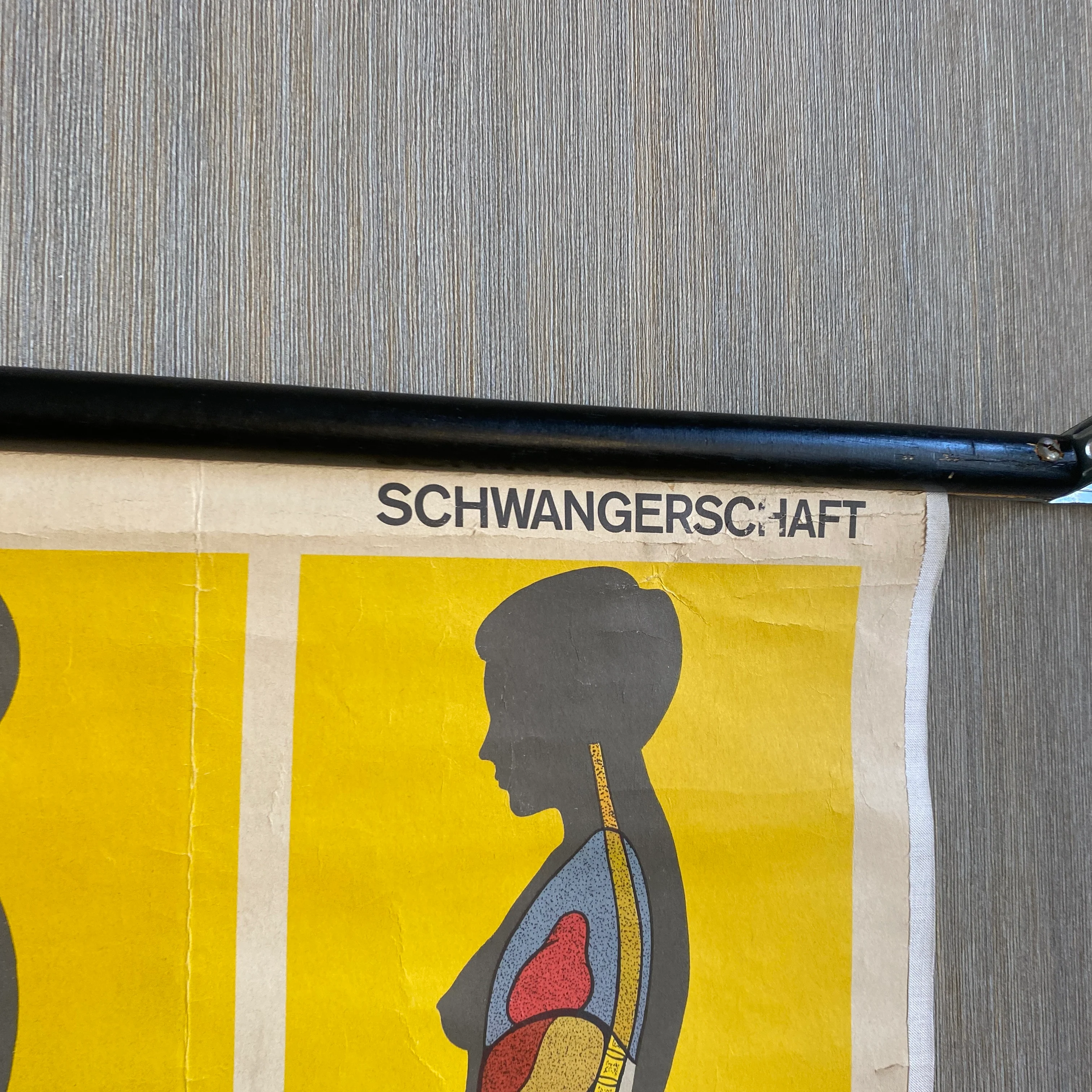 Schulkarte Schwangerschaft Beiträge zur Geschlechtserziehung Biologie Lehrkarte gebraucht - Image 4