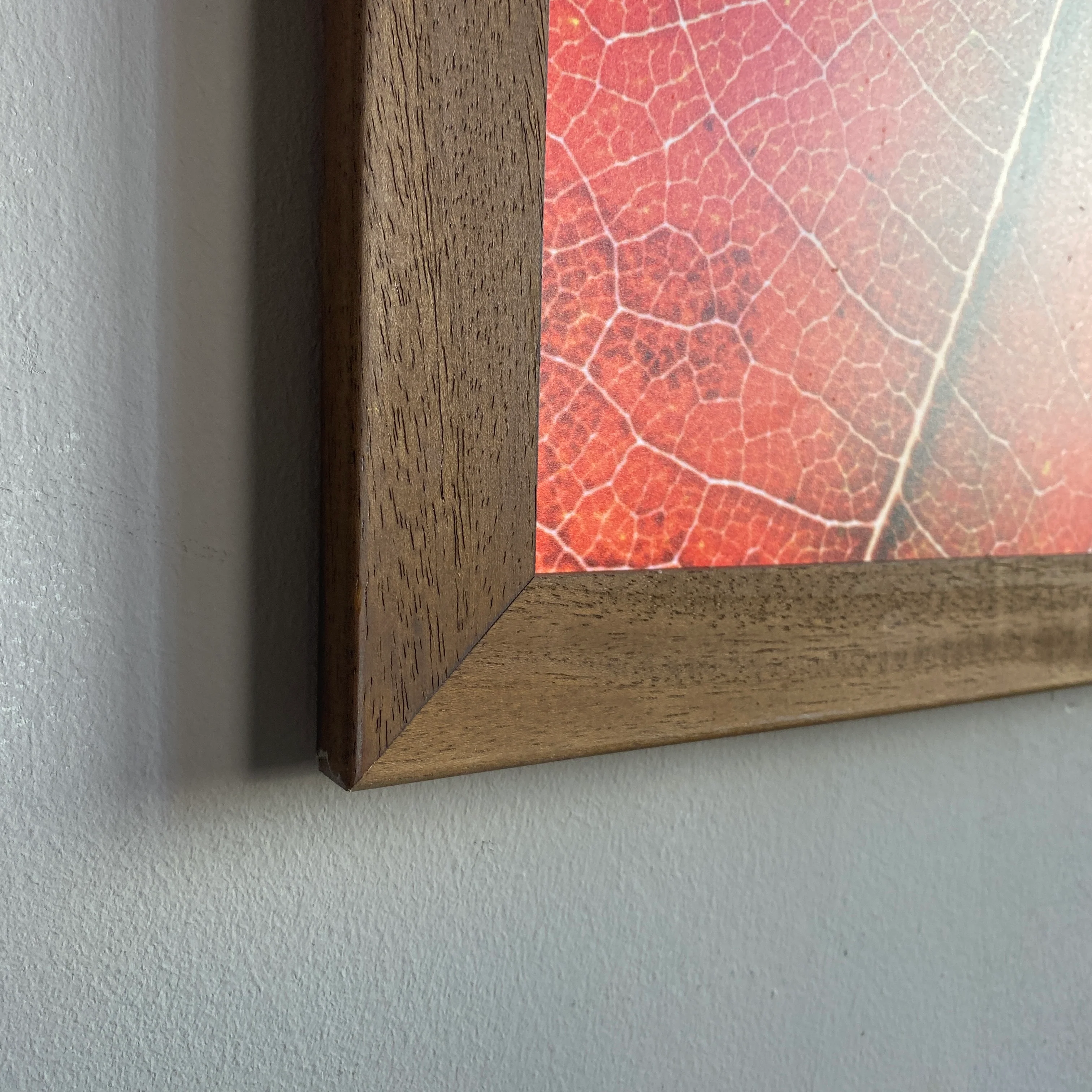 Wandbild gebraucht Herbstblatt Fotodruck Natur Holz Rahmen - Image 4